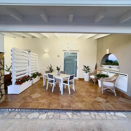 Il Vigneto