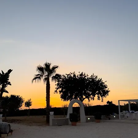 Il Vigneto *