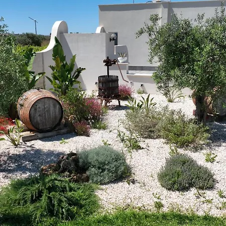 Il Vigneto Marsala