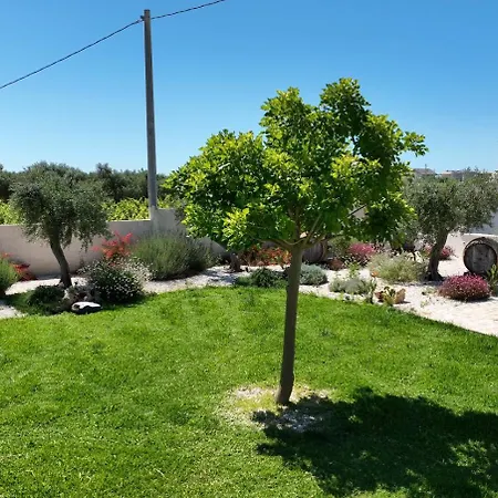 Il Vigneto