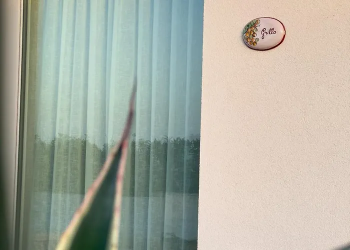 Il Vigneto 度假居 *