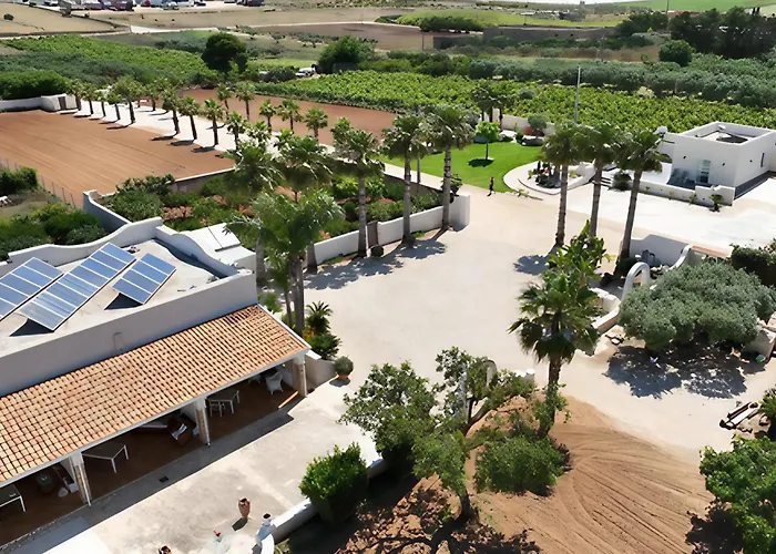 Il Vigneto 马尔萨拉